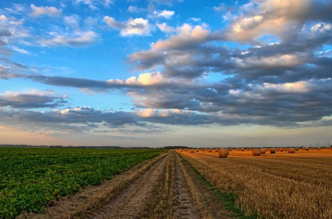 Ecco come varierà la spesa per l'agricoltura e le politiche di coesione