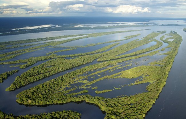 Amazzonia, i paesi sudamericani non trovano un accordo