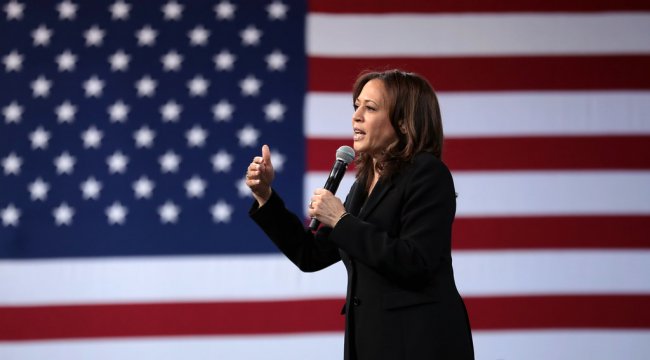 Chi è Kamala Harris?