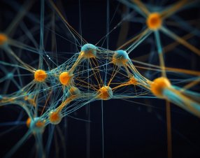 Come funzionano le reti neurali artificiali