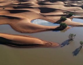 Le piogge ridanno vita a un lago nel Sahara