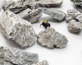 Un micro robot rivoluzionario! Ispirato dalle blatte