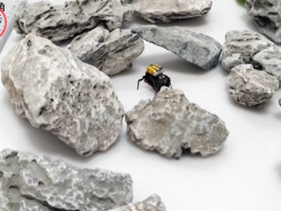 Un micro robot rivoluzionario! Ispirato dalle blatte