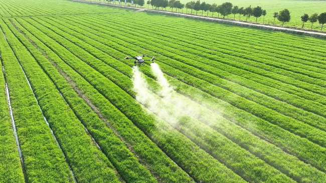 Per ridurre i danni causati dai fertilizzantiIl converte il 15% dei terreni