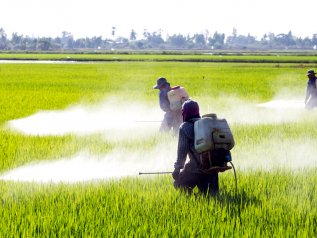 Aumento del cancro infantile in Francia: colpa dei pesticidi?