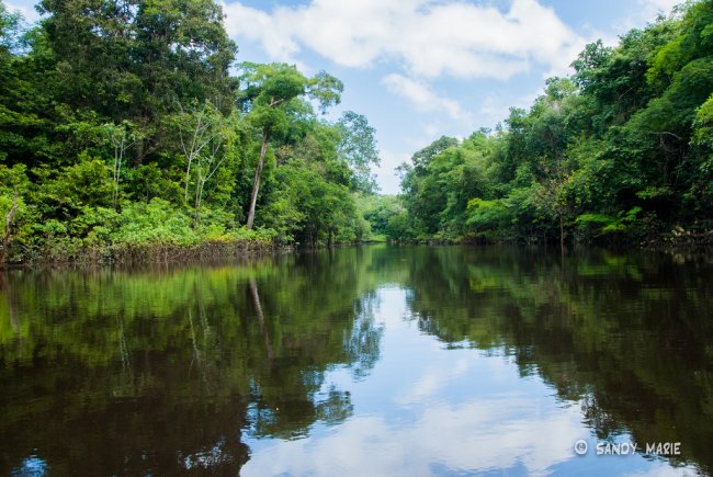 L'Amazzonia e il paradosso brasiliano. Che Bolsonaro rischia di incendiare