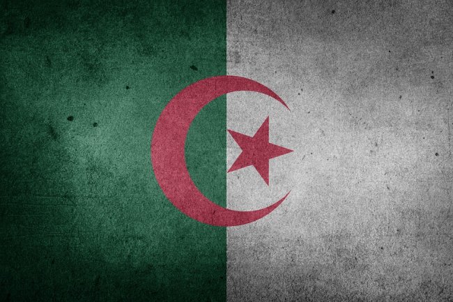 Algeria, si è dimesso il presidente Bouteflika