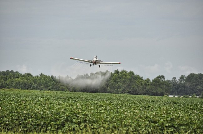 Bayer, terza condanna negli Usa per il diserbante Monsanto: "Paghi 2 mld"