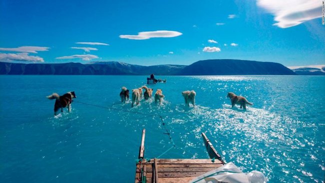 Groenlandia: il ghiaccio si scioglie, i cani da slitta corrono sull’acqua