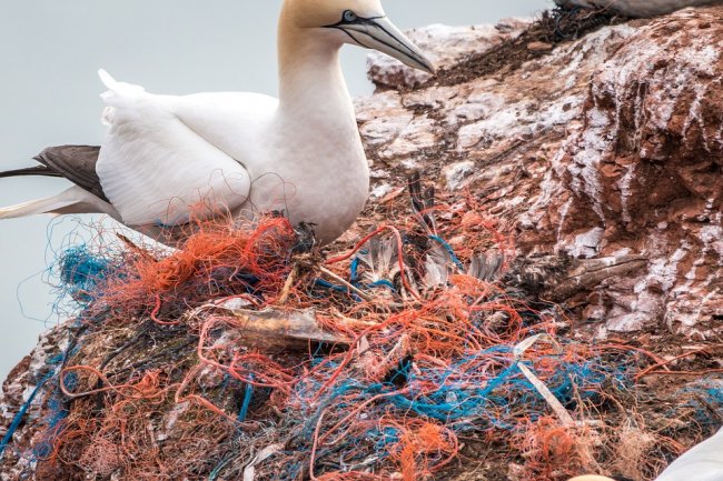 Raccolta record di rifiuti nel Pacifico: 40 tonnellate