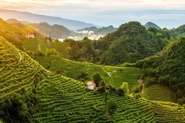 Unesco, le colline del prosecco sono patrimonio dell'Umanità