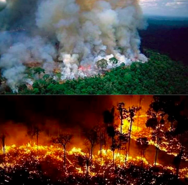 Record di incendi in Amazzonia. Bolsonaro: “Colpa delle Ong”