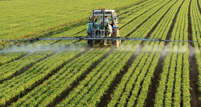 Il sindaco limita i pesticidi e gli agricoltori lo trascinano in tribunale