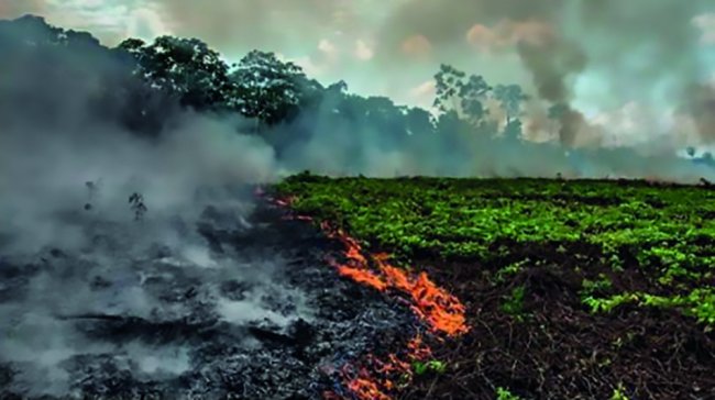 Amazzonia, Bolsonaro rifiuta 20 mln di aiuti dal G7. Attacchi a Macron