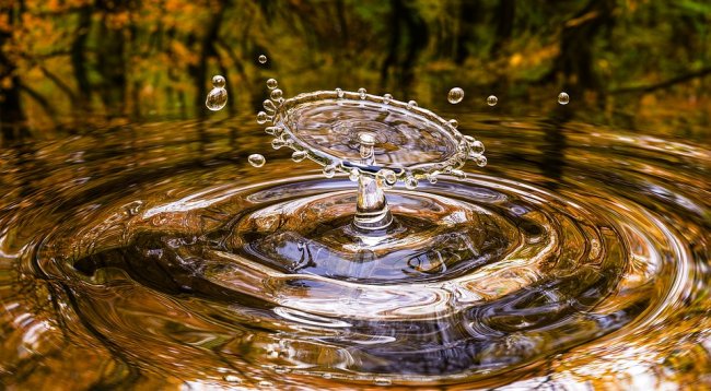 Trascurare la natura ci costerà molto caro