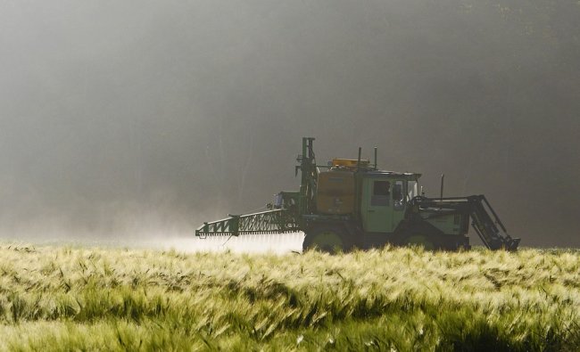 Tiacloprid, Bruxelles vieta il pesticida: è tossico per l'uomo