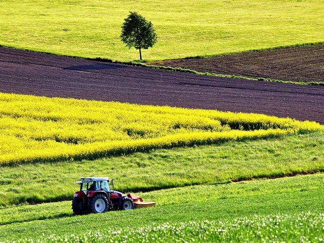 Agricoltura biologica: +34% in 6 anni nell’Ue