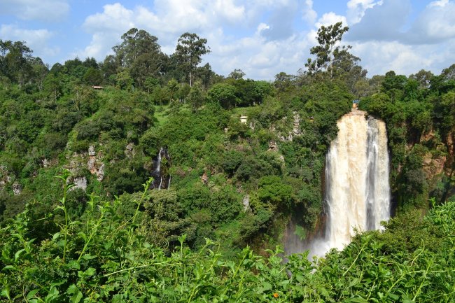 Amazzonia superata dall’Africa: è il continente il polmone verde del globo