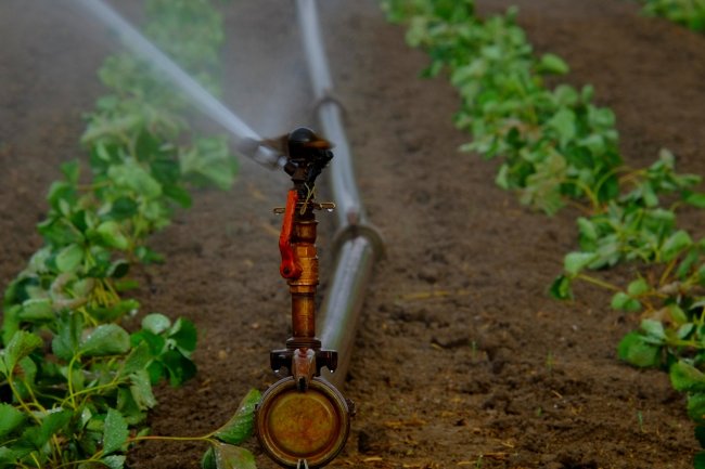 20 mld di metri cubi di acqua ogni anno per l’agricoltura