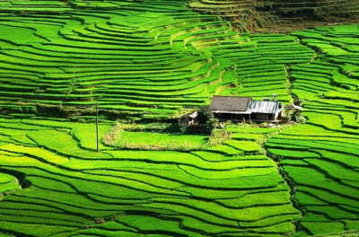 C’è una crisi alimentare in un mondo pieno di cibo