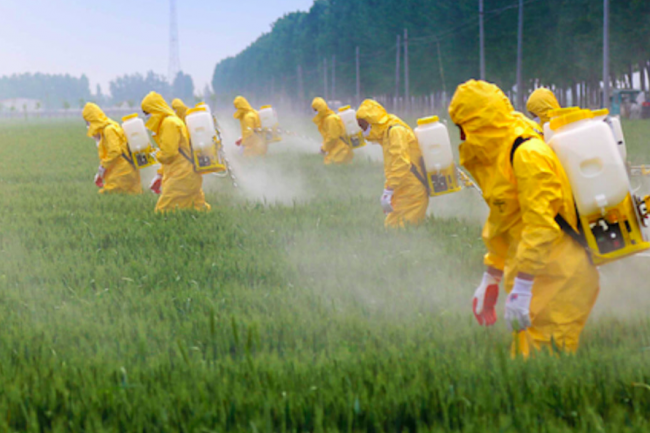 Bruxelles taglia i pesticidi. Ma solo del 50% ed entro il 2030