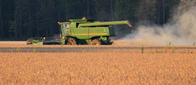 Stop a soia e suini dagli Usa. Pechino alza il muro