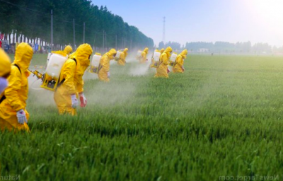 Glifosato, Bayer: accordo da 8-10 mld di dollari