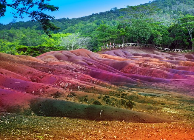 Le isole Mauritius rischiano il disastro ambientale