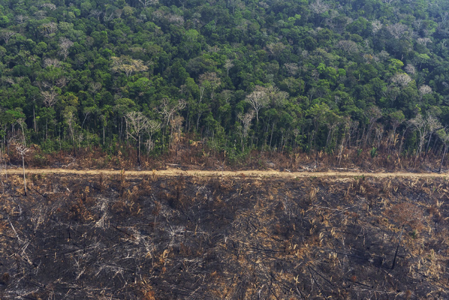 Incendi, nuovo record in Amazzonia. Ma non è solo colpa di Bolsonaro