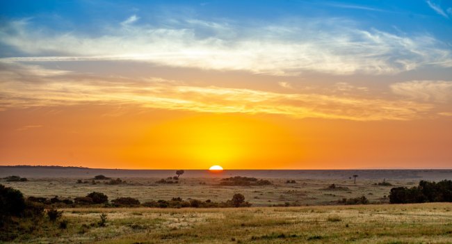 Il 40% della foresta amazzonica è diventato savana