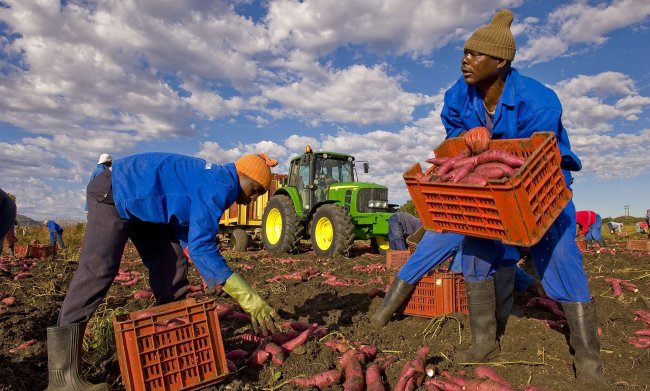 Gli stranieri producono il 9,5% del Pil. Le loro tasse pesano 18 mld