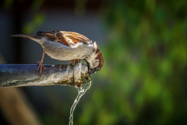 Acqua pubblica (ancora) senza legge