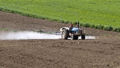 Bruxelles mette al bando il pesticida Mancozeb