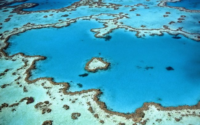 La barriera corallina ha una nuova tonalità di blu. Non è una ‘good news’