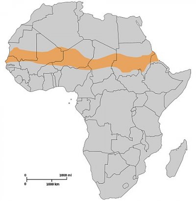 Il Sahel e la sicurezza in Europa