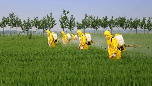 L’uso dei pesticidi è diminuito ma il loro impatto tossico è raddoppiato