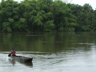 La Sierra Leone ha venduto la sua foresta pluviale alla Cina per un porto