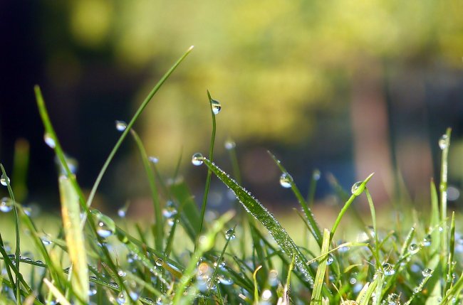 La disponibilità idrica scende, ma i terreni agricoli hanno sempre più sete