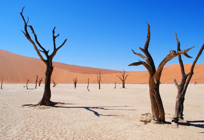 Colonizzazione dell’Africa. Dopo la Francia, anche la Germania si scusa