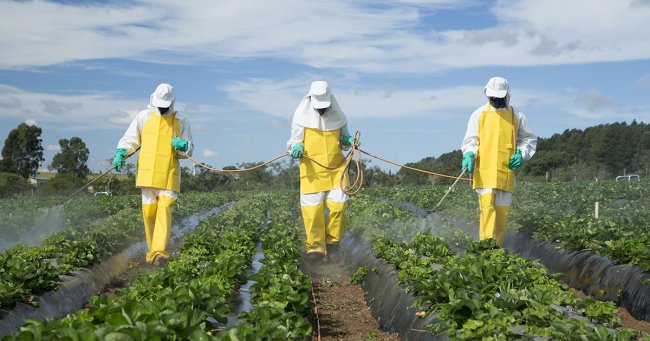 La Confederazione non rinuncia ai pesticidi