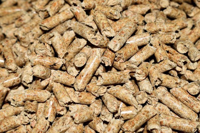 Il pellet ha un effetto sul clima simile a quello dei combustibili fossili