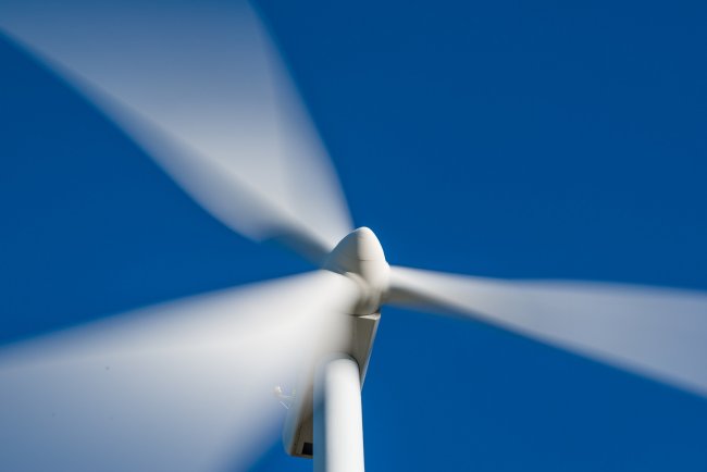 “Le energie rinnovabili non possono sostituire i combustibili fossili”