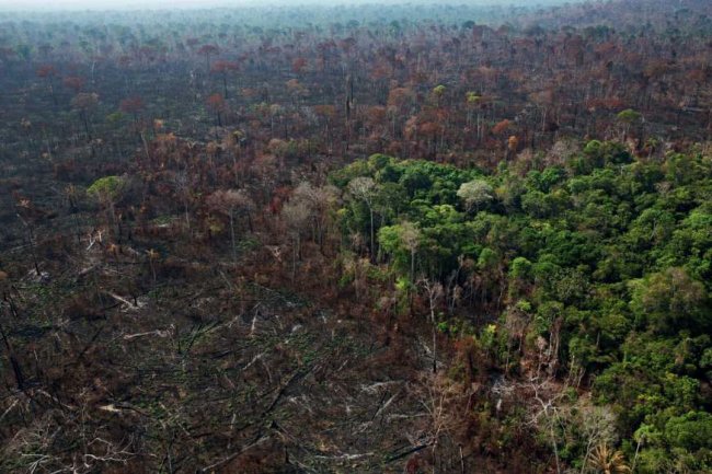 L’Amazzonia vicina a un punto di non ritorno?