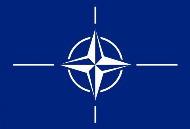 Nato, da “cerebralmente morta” a …