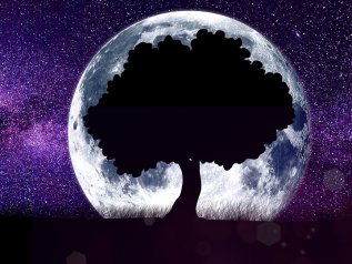 Entro il 2030 una colonia umana sulla Luna