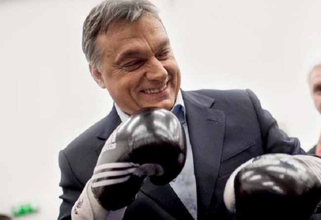 La doppia vittoria di Orban