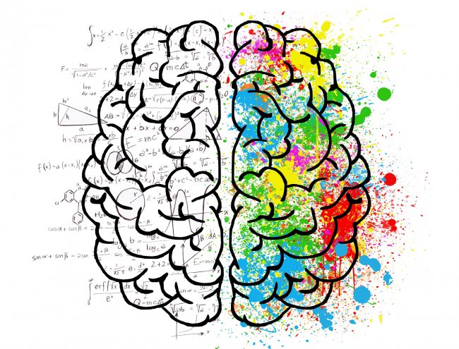 L’isolamento sociale fa rimpicciolire il cervello