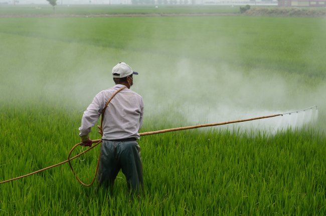 L’ipocrita doppio standard europeo sui pesticidi