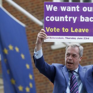 UKIP dopo la Brexit 6